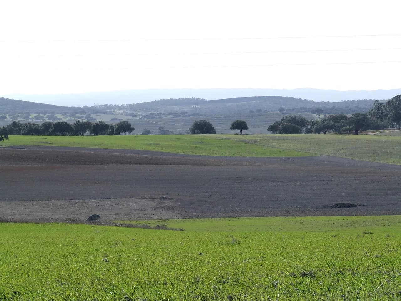 Paisagem rural de Castro Verde