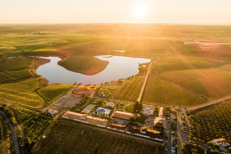 Vila Galé Alentejo Vineyards
